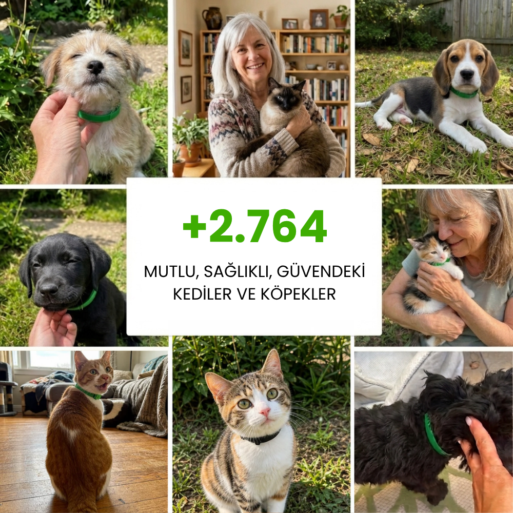Kedi ve Köpeklere Uygun 6 Ay Pire ve Kene Koruması