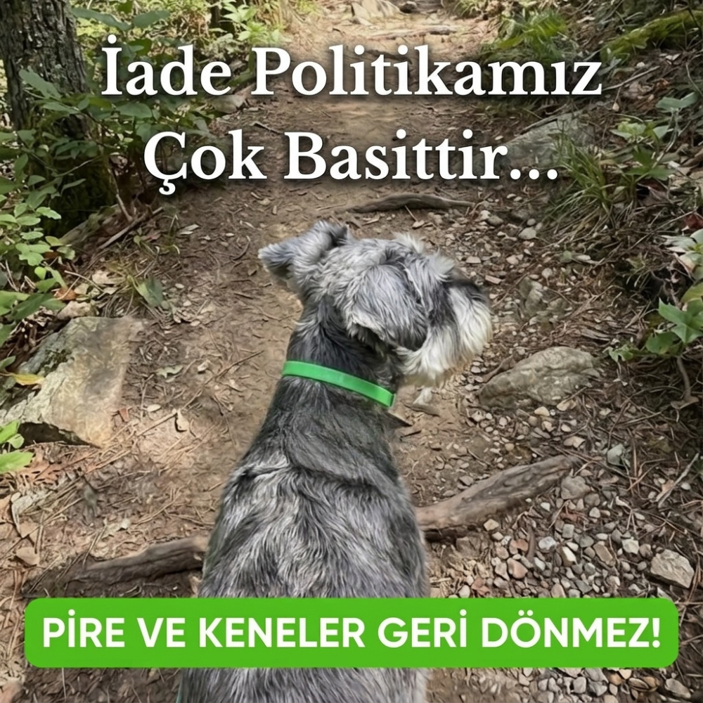 Kedi ve Köpeklere Uygun 6 Ay Pire ve Kene Koruması