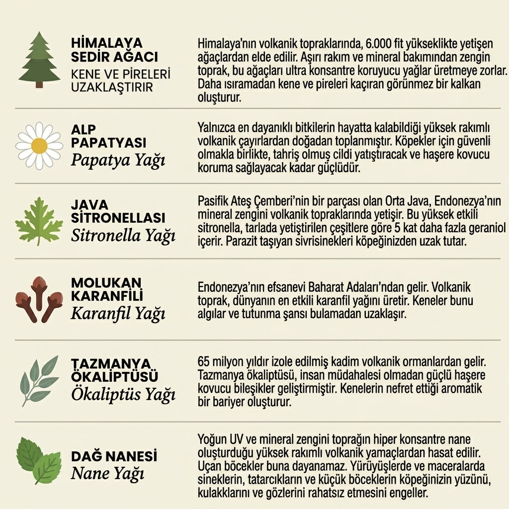 Kedi ve Köpeklere Uygun 6 Ay Pire ve Kene Koruması